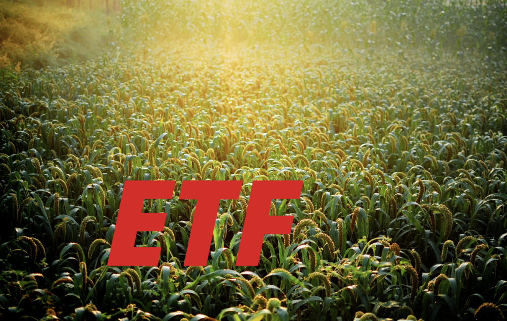 ​2024是ETF豐收年，2025將有更多加密ETF推出