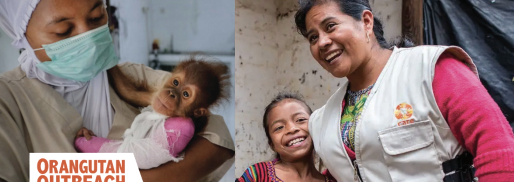 ​加密捐款助救災！The Giving Block 為加州野火受災戶成立救助基金，籌集 200 萬鎂全力援助