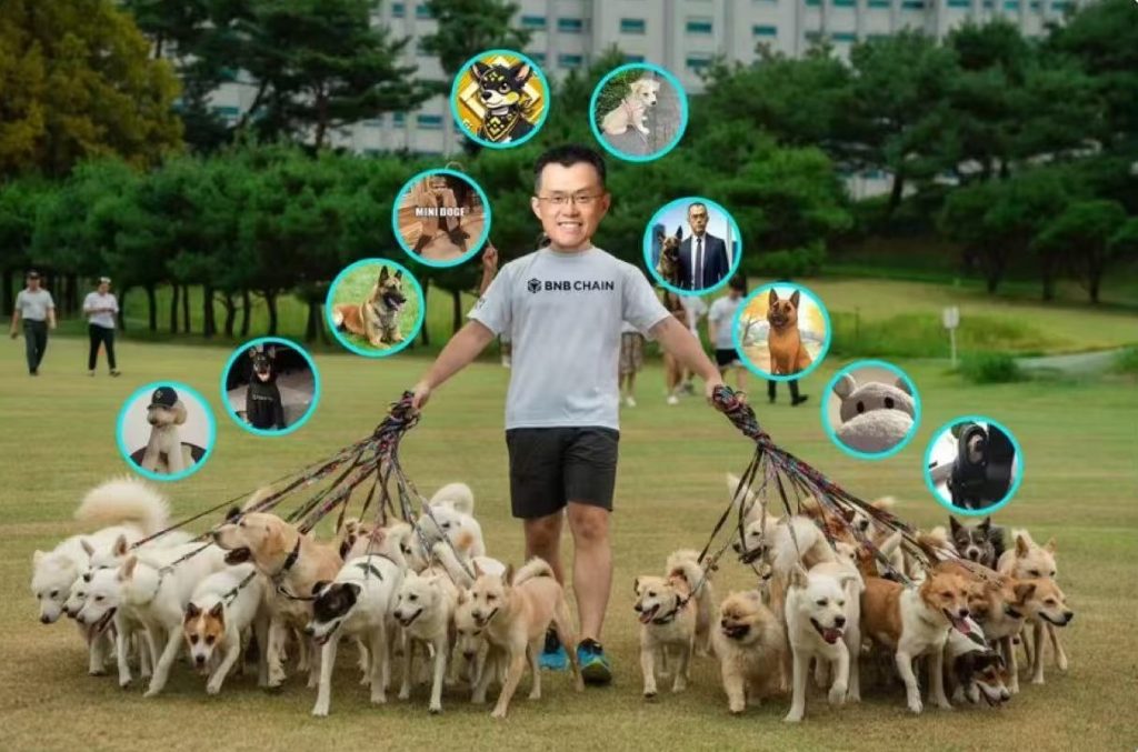 BROCCOLI 之亂買哪隻!CZ 公告新寵物名稱後迷因幣百家爭鳴,盤點有望上所的 CA 們