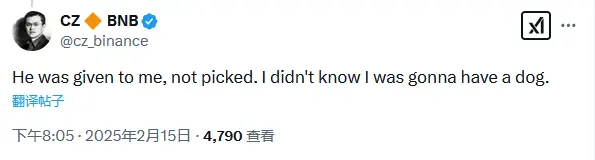 赵长鹏：宠物犬 Broccoli 是他人赠送，此前没想到自己会养狗