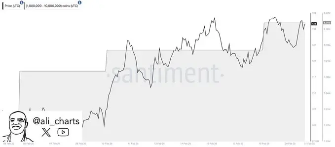 数据：巨鲸们过去 2 周累计买入 93 万枚 LTC
