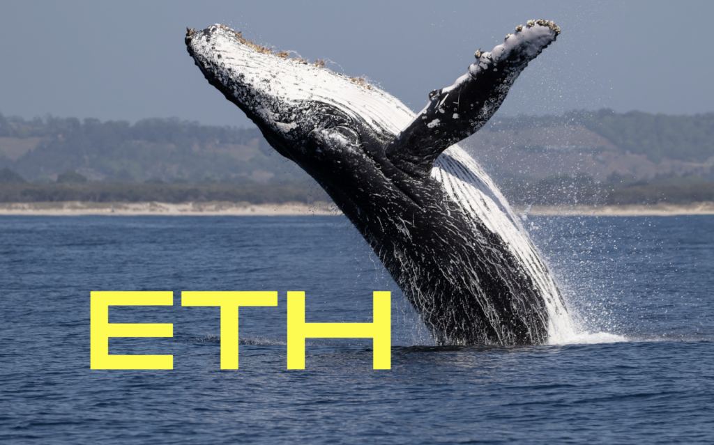 ​杜均：機構都在加倉 ETH丶散戶情緒上更喜歡 Solana，預言後續市場仍有多個利好待實現