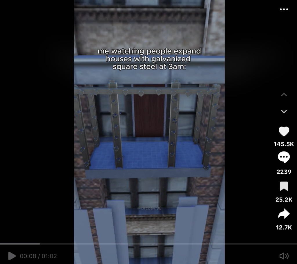 ​美國人為何沈迷於 TikTok 和小紅書迷因短片