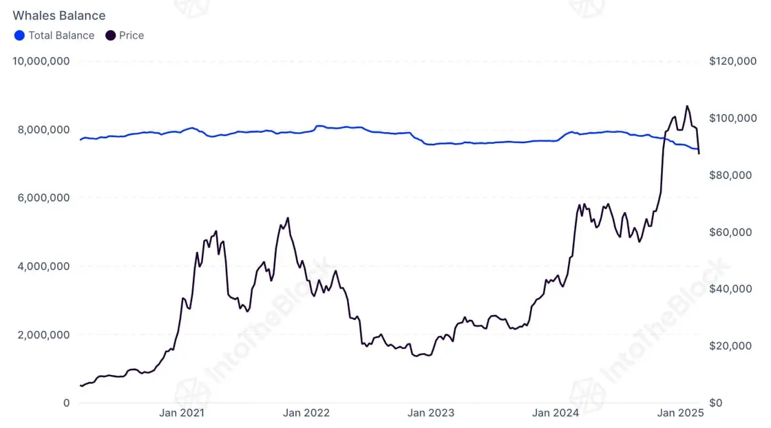 IntoTheBlock：巨鲸持有 BTC 总量已降至 2019 年以来最低水平
