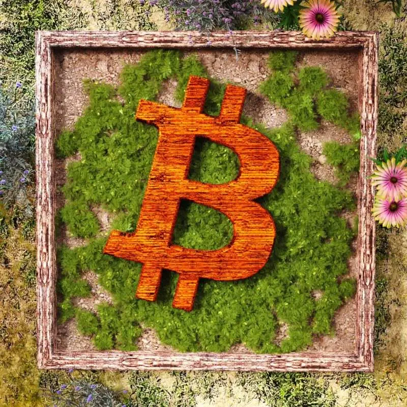 黑客乌龙下的 Odin.fun 能否扛起比特币生态复兴大旗?