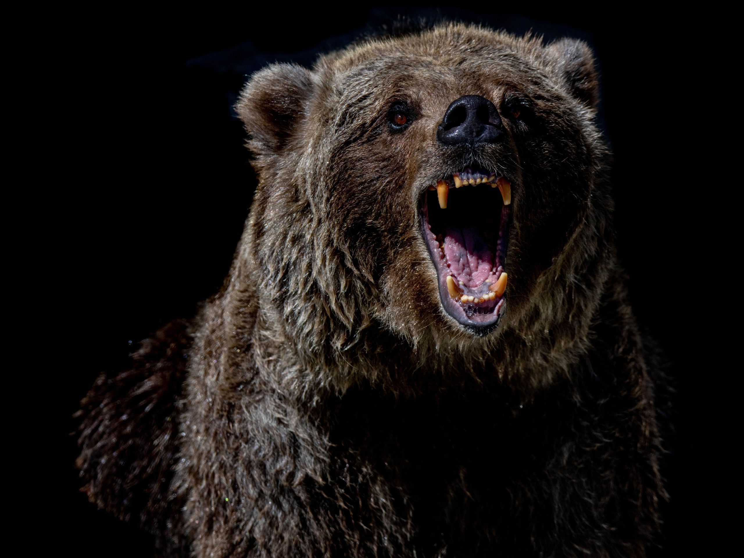 Bitcoin Crumbles Below $80K as Crypto Sell-Off Goes From Bad to Worse