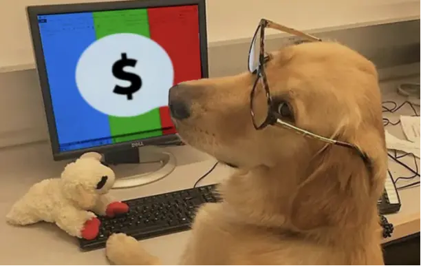 发帖也能赚钱？一文读懂结合 AI 代理的代币化论坛 subs.fun | CryptoSeed