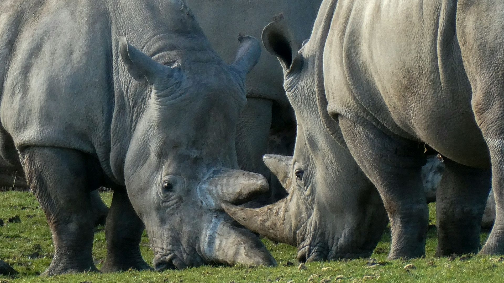 Crypto Daybook Americas: Bitcoin’s Haven Claim Hit as U.S., China Face Off Over Tariffs