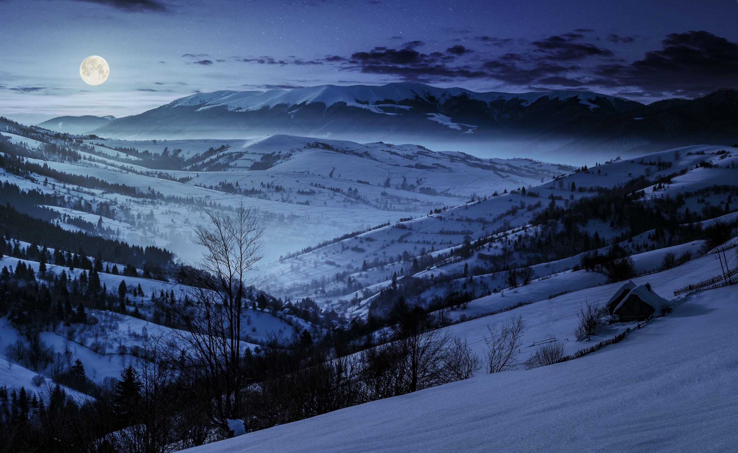 Crypto Winter Appears to Have Arrived With Bitcoin, Top 50 Tokens Falling Into Bear Market Territory: Coinbase Institutional