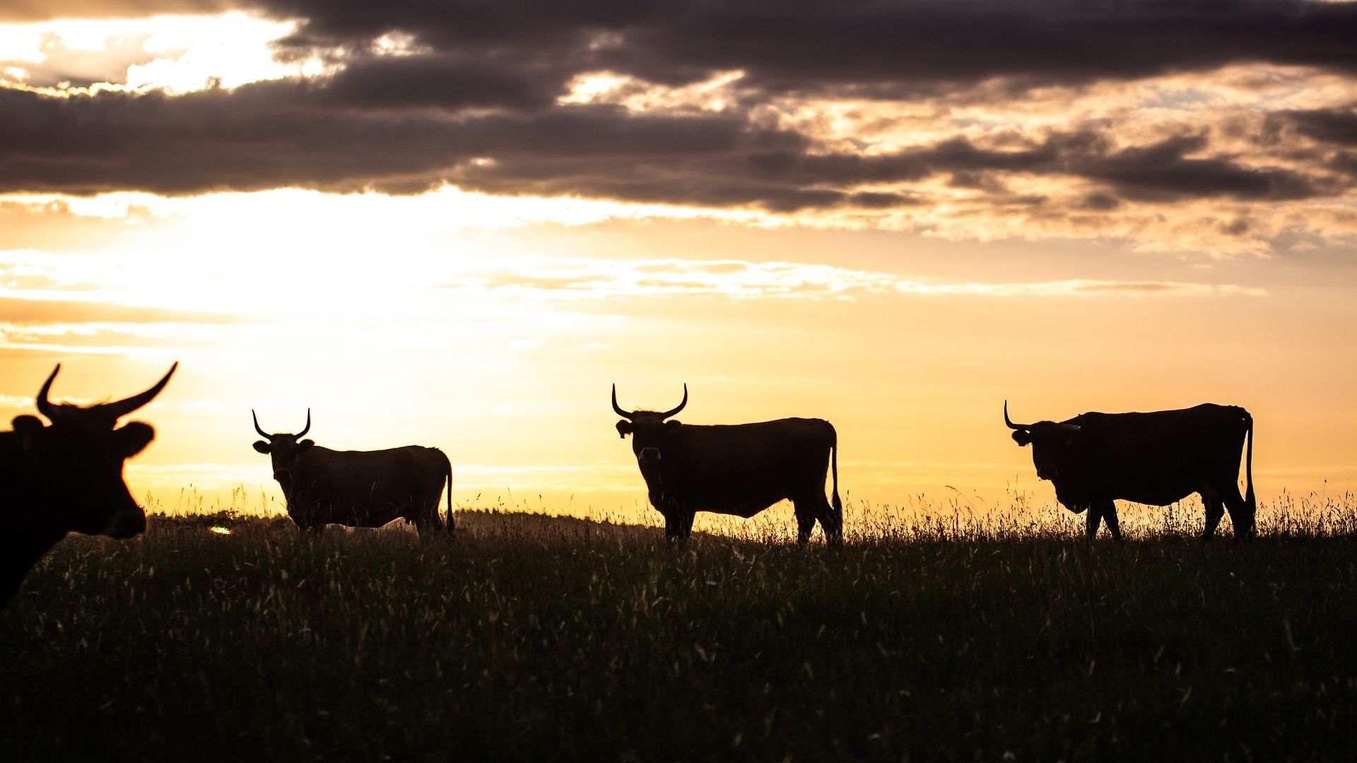 Crypto Daybook Americas: Bitcoin Market Cap Tops $2.2T as Derivatives, Sentiment Signal More Upside