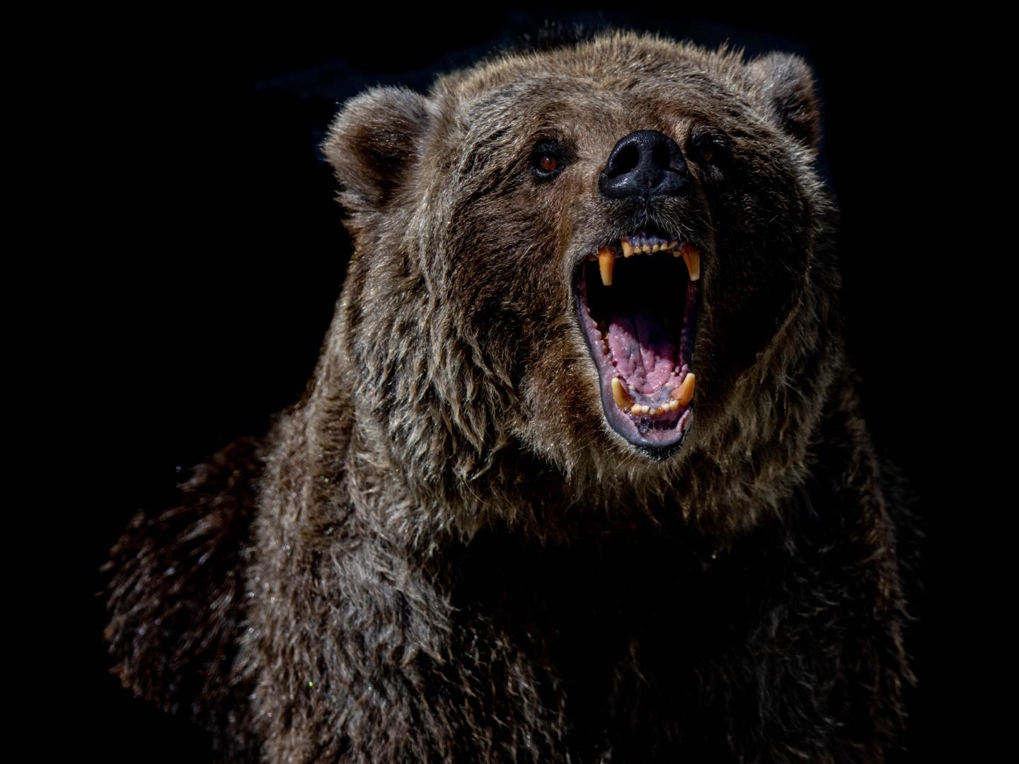 Bitcoin May Be Headed Towards a 2021-Like Double Top