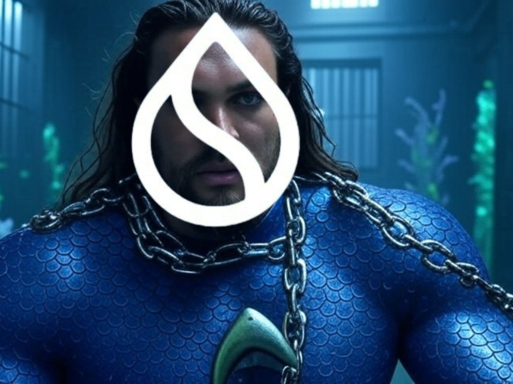 ​從協議漏洞到去中心化辯證：詳解 Cetus 事件始末，MOVE 語言安全性動搖了嗎？