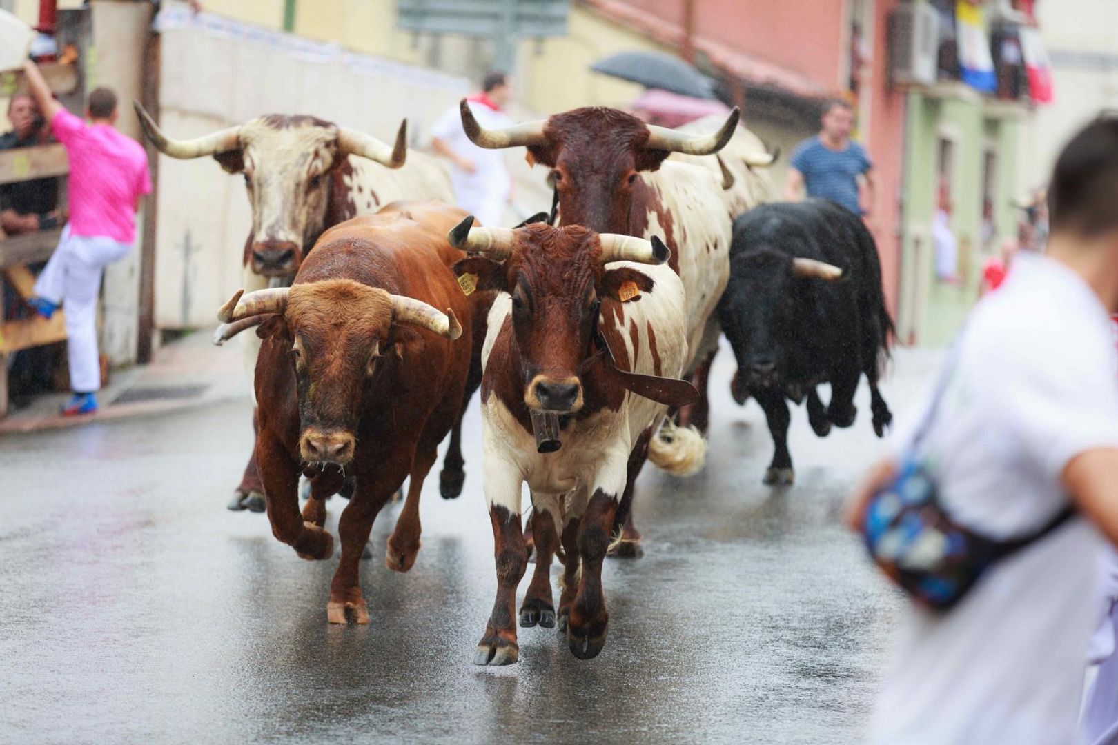 Bitcoin Could Spike to $120K, Here Are 4 Factors Boosting the Case for a BTC Bull Run