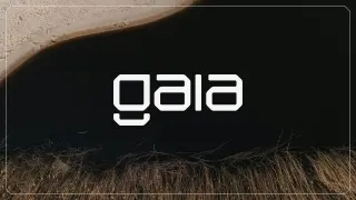 去中心化人工智能推理 Gaia 的投研报告