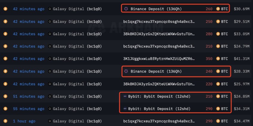 比特幣跌破 117K！沉睡 14 年巨鯨甦醒，8 萬枚 BTC 轉移至交易所引拋售擔憂 