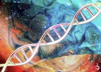 Arthur Hayes 入股幹細胞公司，DeSci 風潮再起？ 