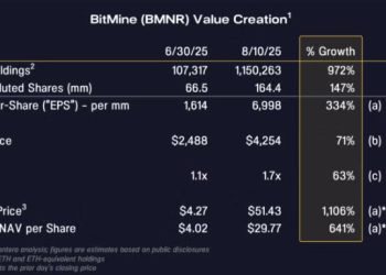 Pantera已向加密儲備公司投資3億鎂，投資人為何買單高 mNAV？ 