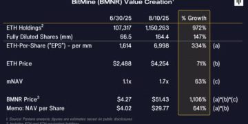 Pantera已向加密儲備公司投資3億鎂,投資人為何買單高 mNAV?