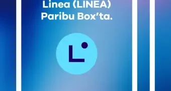 Linea 的投研报告