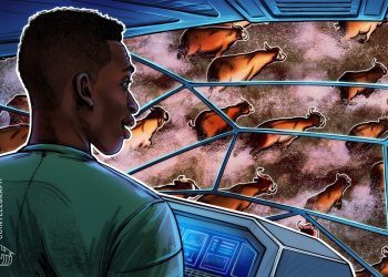 ‘Very high chance’ this is the start of the crypto bull market: Trader