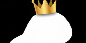 Typus Finance 驚傳遭駭！Sui Network 上 DeFi 協議爆出預言機漏洞 