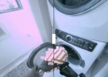 1X Technologies 推出 AI 世界模型與家用機器人 NEO：預售開啟、2026 年美國交付 