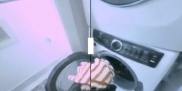 1X Technologies 推出 AI 世界模型與家用機器人 NEO：預售開啟、2026 年美國交付 