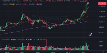 加密貨幣市場一週勁揚逾 10%！ETF 資金湧入、BNB 創新高火熱助攻反彈 