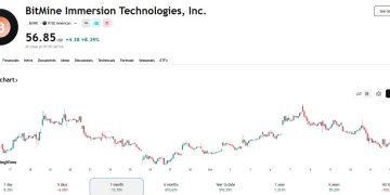 BitMine 擁 303 萬枚ETH,數據黑箱不值得溢價 BMNR 遭放空