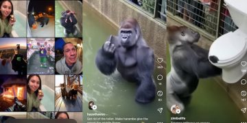 Sora App 上線!OpenAI 選定台灣入列亞洲首發市場之一