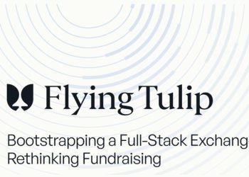 Flying Tulips 的博弈論：Andre Cronje 的「保本型融資制度」值得投資嗎？ 