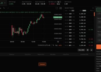 百倍做多 Nasdaq 100？從 Hyperliquid 上線股票永續合約看風險與潛力 