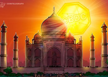 India’s government may consider stablecoin framework, diverging from RBI