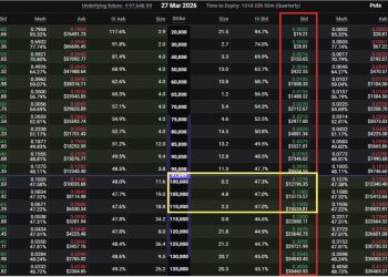 Metaplanet 靠比特幣選擇權權利金為收入來源，暗藏什麼危機？ 