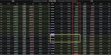 Metaplanet 靠比特幣選擇權權利金為收入來源,暗藏什麼危機?