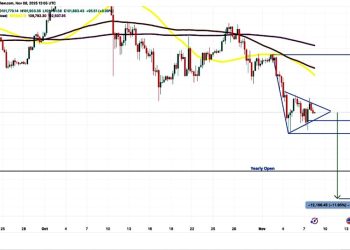 巨鯨持續轉移大量比特幣、達到四年來新高,市場或面臨回調至九萬美元壓力?