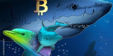 Bitcoin sharks stack at the fastest pace in 13 years, with BTC down 30%