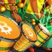 Brazil’s live orchestra to turn Bitcoin price moves into music