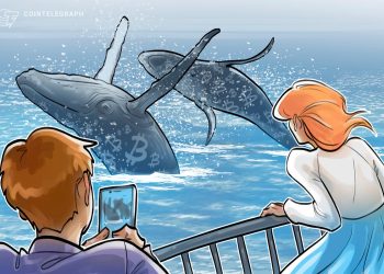 Bitcoin Whales Double Down on BTC Bull Market to end 2025