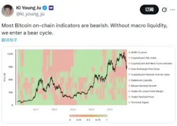 CryptoQuant CEO：比特币链上指标多数看跌，若无宏观流动性支撑将走熊