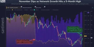 数据：以太坊本轮反弹得益于“鲨鱼钱包”的强劲吸筹，近半月积累 45 万枚 ETH