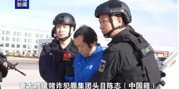 陈志押解回国现场画面曝光,公安机关将于近期公开通缉犯罪集团骨干