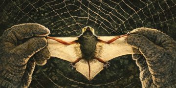 印度再現致命立百病毒！14 歲男孩死亡、60 人列高風險接觸者，WHO：此輪疫情屬「低風險」 