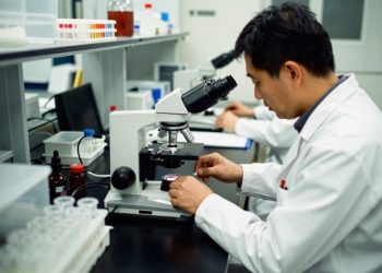 Cathie Wood 重押投資的生技新創 CRISPR 是間什麼公司？ 