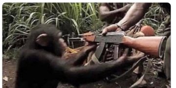 Meta AI 總監試玩 OpenClaw 慘劇:信箱工作郵件幾乎被刪光