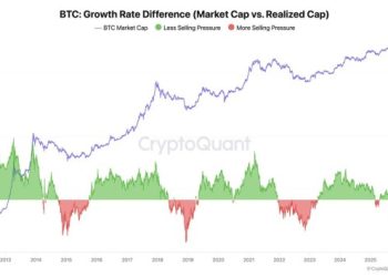 Chainlink 創辦人談這次熊市不一樣，CryptoQuant 潑冷水：比特幣漲不動了 