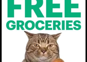 Polymarket 真的開 market 了！免費雜貨店落腳紐約、捐贈百萬美元支援糧食 