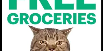 Polymarket 真的開 market 了！免費雜貨店落腳紐約、捐贈百萬美元支援糧食 