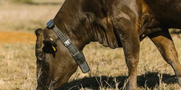 以太坊基金會也用它！CoW Swap 前端被駭，DeFi 大佬建議撤銷（revoke）授權 