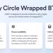 Circle 推出封裝比特幣 cirBTC，搶攻機構市場也直接挑戰 Coinbase 